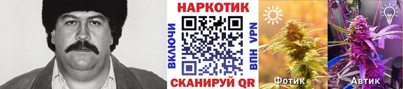 Магазины продажи наркотиков Ветлуга Конопля АМФЕТАМИН COCAIN ГАШ МЕФ