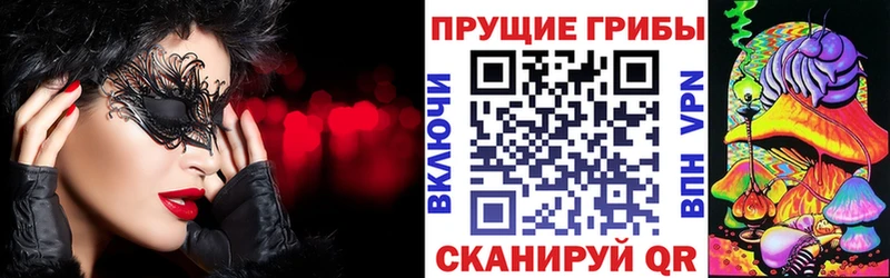 Галлюциногенные грибы GOLDEN TEACHER  даркнет сайт  Ветлуга 